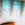 0001_Spro_Fat_Iris_50_CR_[Herring].jpg